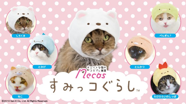 猫 といえば隅 隅といえば すみっコぐらし 人気キャラたちが猫さま専用のかぶりものになりました Pouch ポーチ