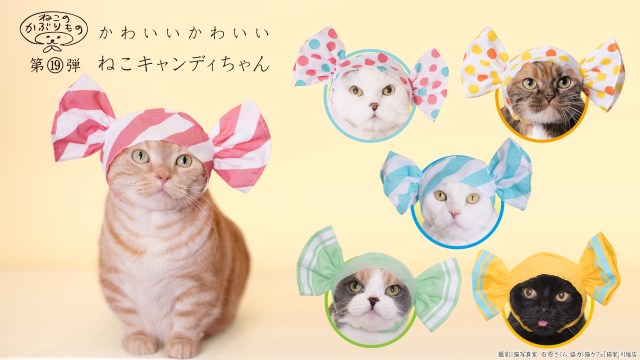 ねこのかぶりもの 猫さまが甘いキャンディーに大変身 かわいい かわいい ねこキャンディちゃん が発売されますよ Pouch ポーチ