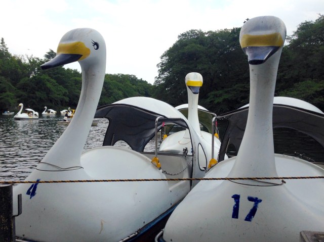 恋人の聖地 井の頭公園 でひとりスワンボートに乗った結果 みにくいアヒルの子 状態になりました Pouch ポーチ