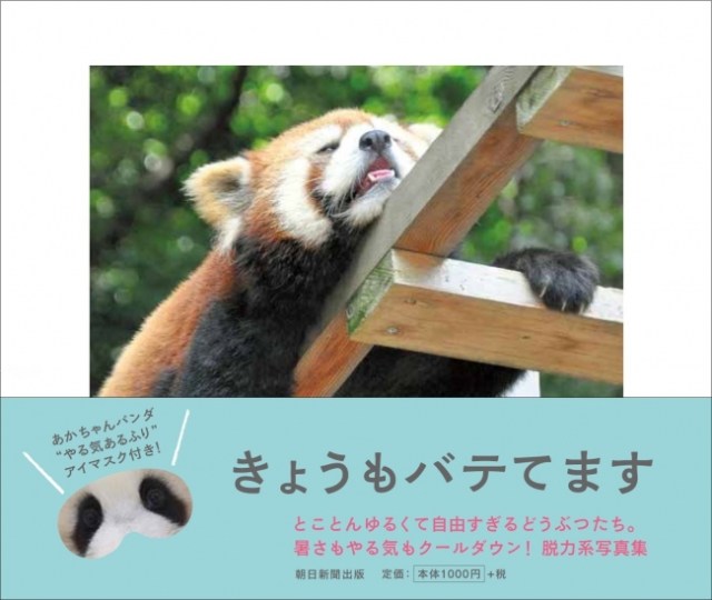 夏バテ気味なのは動物たちも一緒 パンダやシロクマが暑さで脱力しっぱなしな写真集 きょうもバテてます に癒やされる Pouch ポーチ