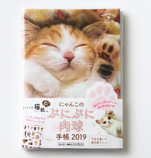 予定表もフリーページも猫まみれ フェリシモ猫部の にゃんこのぷにぷに肉球手帳19 が悶絶級のかわいさです Pouch ポーチ