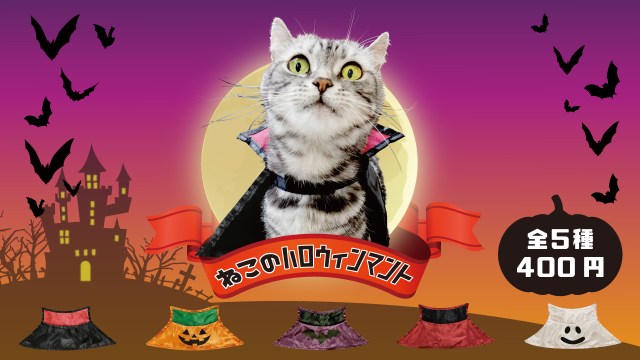 ペットの仮装 カプセルトイに ねこのハロウィンマント が登場したよ 黒マントやオバケなど全5種類あります Pouch ポーチ