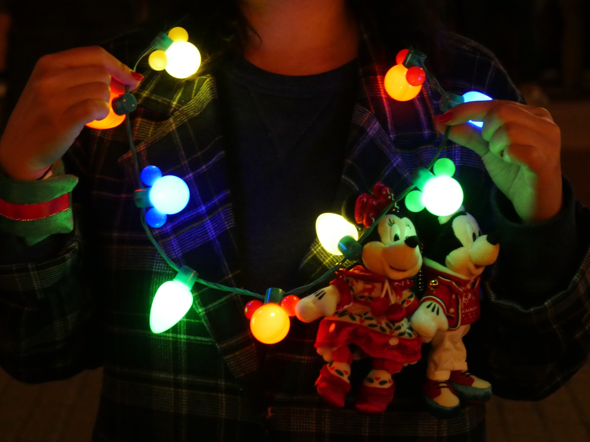 これは買い ディズニークリスマス限定グッズ イルミネーションライト はパーク内でもバッチリ目立つ お部屋でも楽しめるスグレモノです Pouch ポーチ