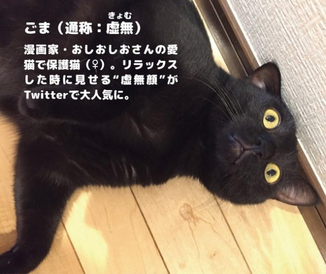 虚無顔 が魅力の黒猫グッズがたまらん可愛さ 顔圧が強めな ごまちゃん アイテムにグッとくるぅ っ Pouch ポーチ