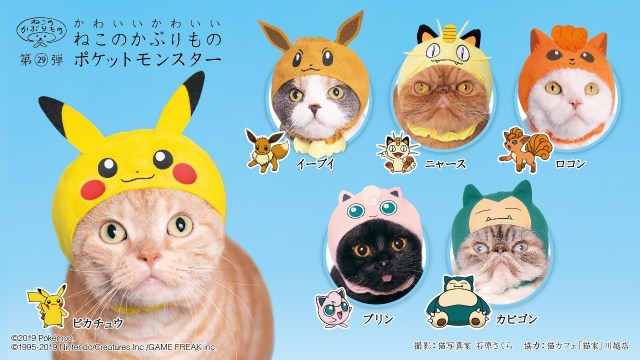 我が家の猫さまがピカチュウやイーブイに ねこのかぶりものシリーズ新作 ポケモン がキュートの塊なのです Pouch ポーチ