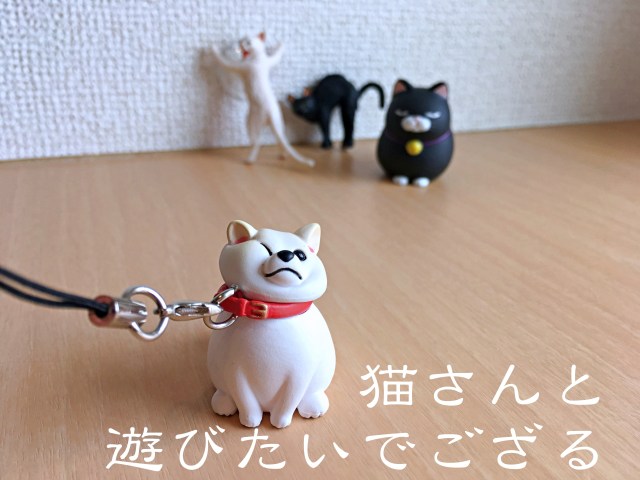 散歩を嫌がる 拒否犬ストラップ は手持ちのフィギュアと組み合わせると無限の世界が広がる ぐぬぬ顔が最高なのです Pouch ポーチ