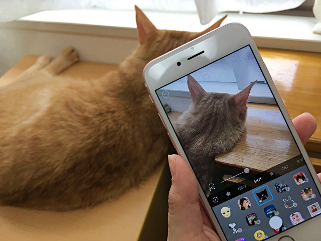 カメラアプリsnowに 猫に反応するスタンプ が出たニャ 飼い猫と一緒に遊んだらめちゃくちゃ癒やされた Pouch ポーチ