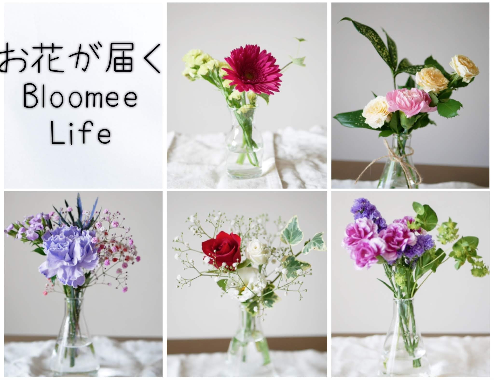 1ヶ月体験レポ 1回500円でポストにお花を届けてくれる お花の定期宅配サービス が画期的 手軽に花のある暮らしができちゃいます Pouch ポーチ