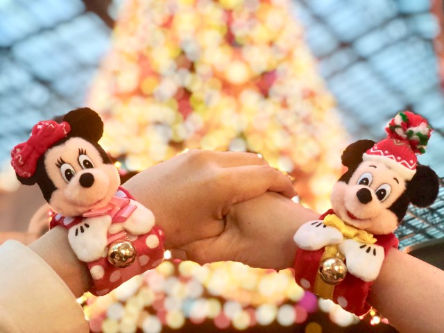 オススメ ディズニー クリスマス限定グッズ ぬいぐるみバンド は即ゲットすべし パレードの楽しみが倍増 手つなぎ写真に盛り上がります Pouch ポーチ