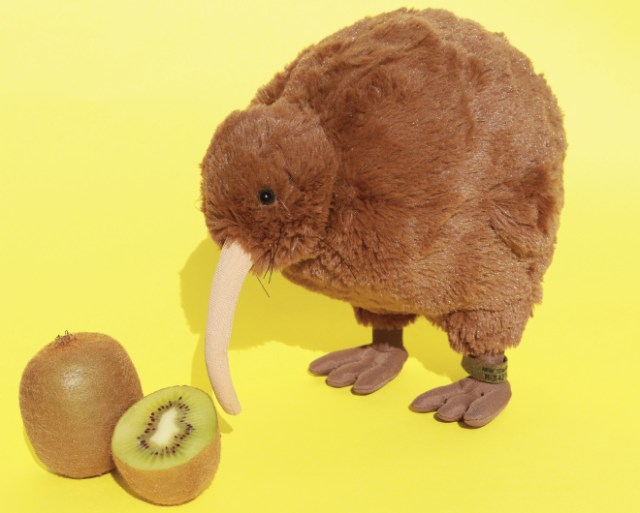 フェリシモと天王寺動物園がコラボした飛べない鳥 キーウィ のぬいぐるみがかわいい キウイみたいにまあるいよ Pouch ポーチ